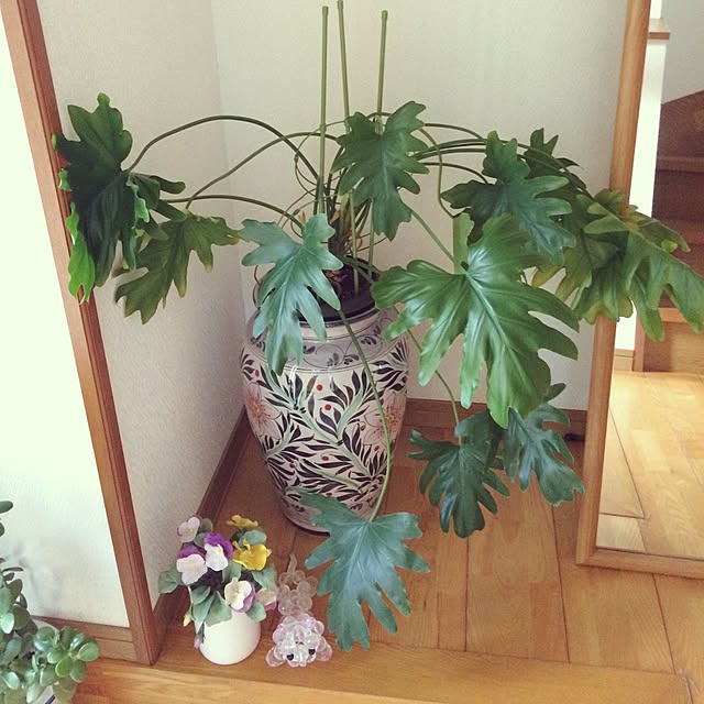 OWLさんの実例写真