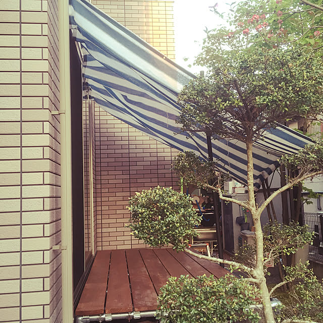 antiqueheartさんの実例写真
