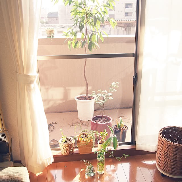 実例写真