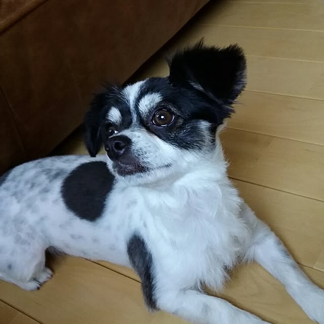 yukkoさんの実例写真