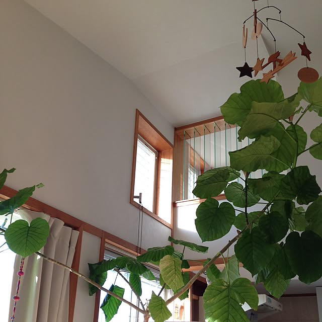 yumeさんの実例写真