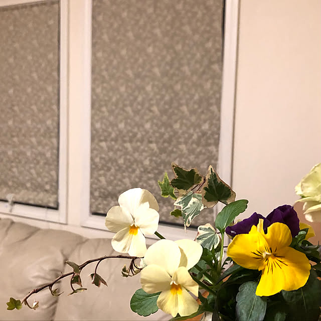 wooneeyanさんの実例写真