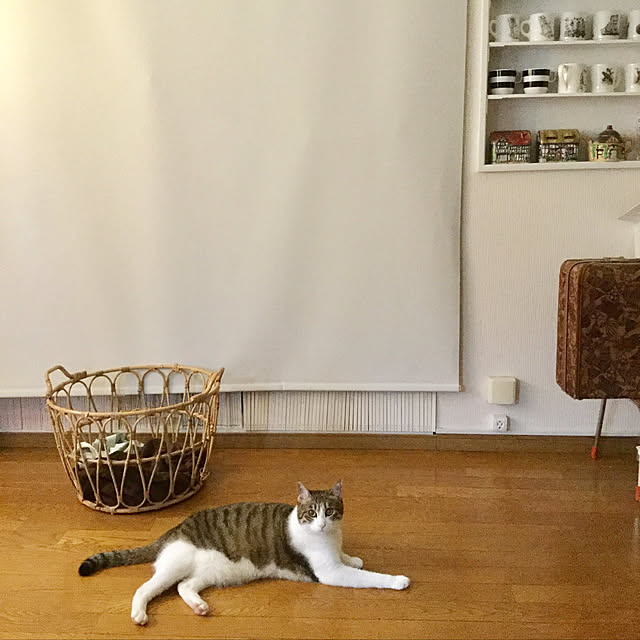ankoさんの実例写真