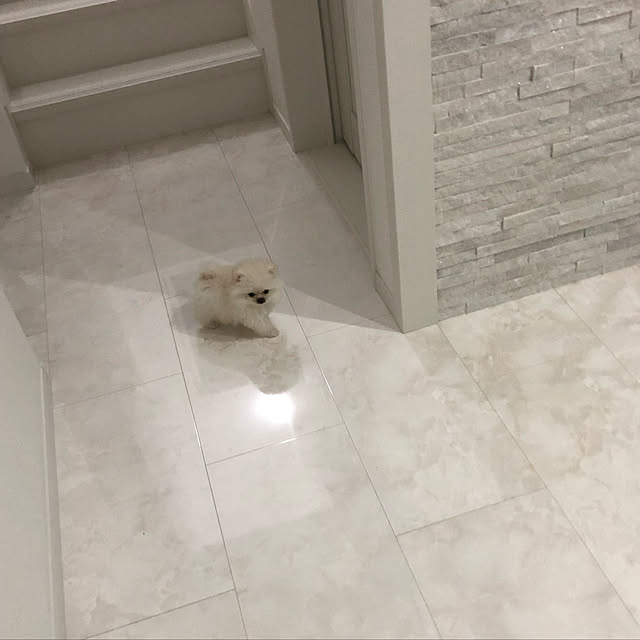 ri---nyamさんの実例写真