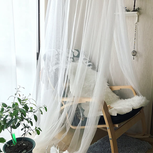 Satokoさんの実例写真
