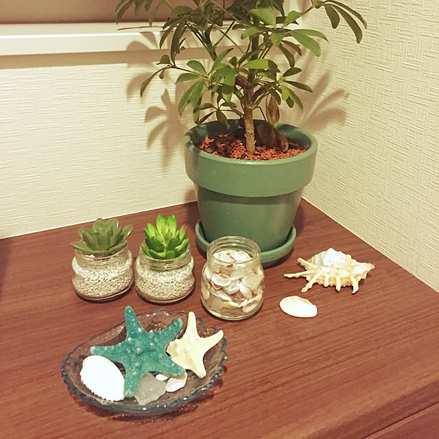 inocchiさんの実例写真