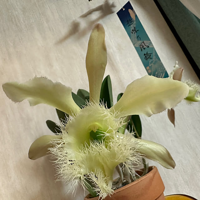 Hironobuさんの実例写真