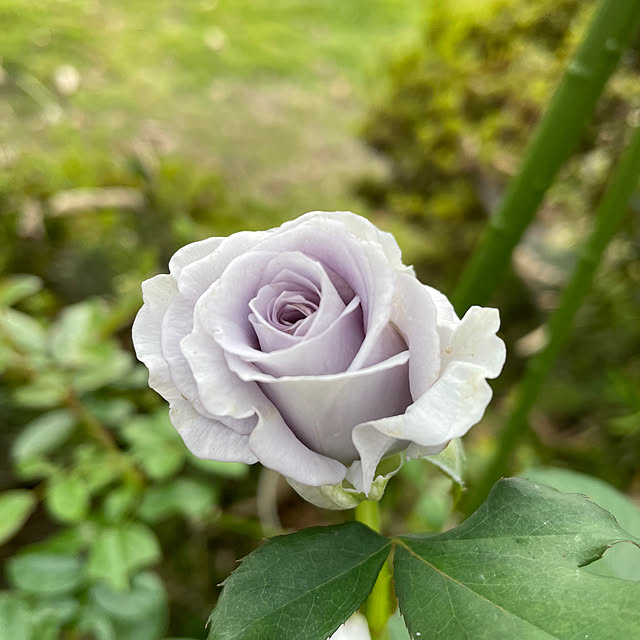 natsumiさんの部屋