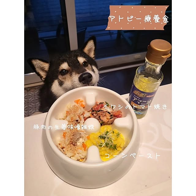 lovesspongebobさんの部屋