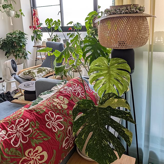 kolo92さんの実例写真