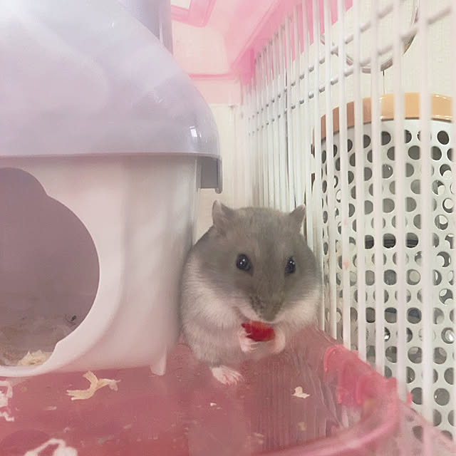 milkさんの実例写真