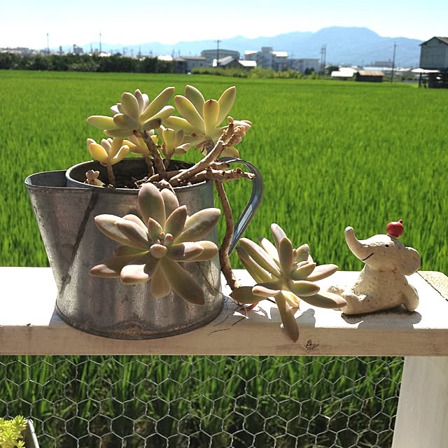 yuukaさんの実例写真