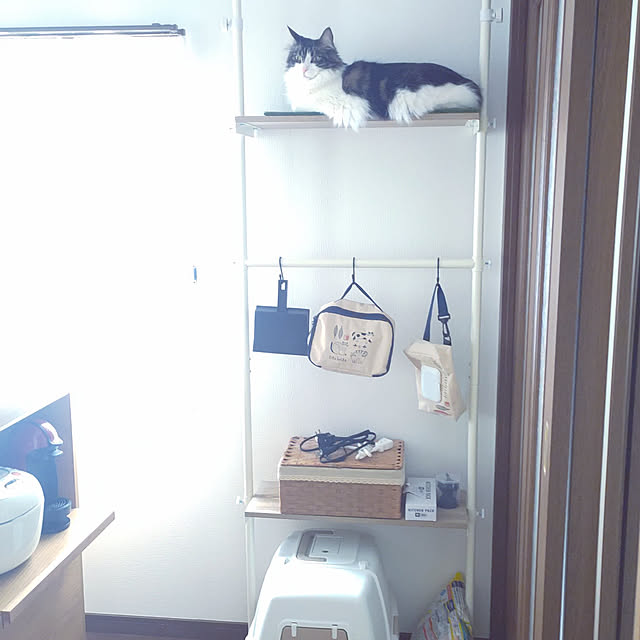 +CHIHARU+さんの実例写真