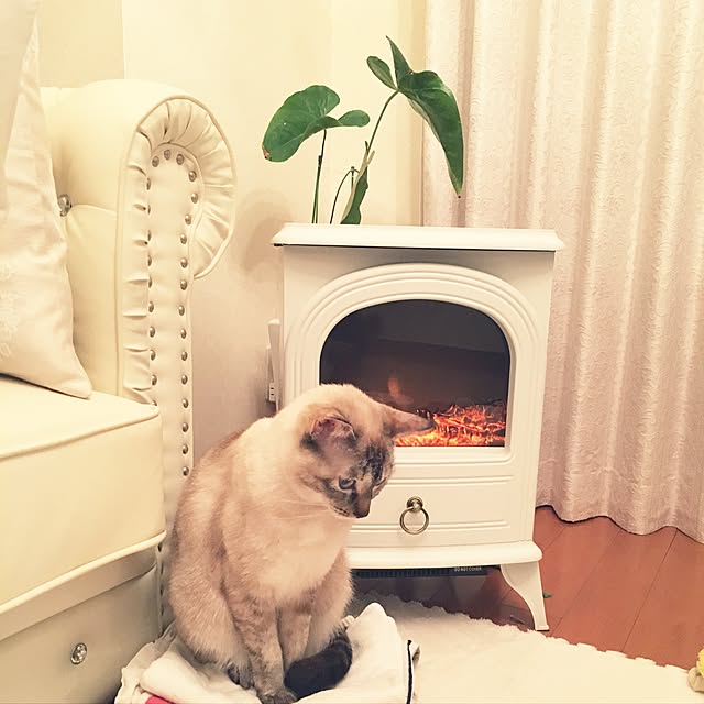 noelさんの実例写真