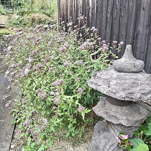 kuririnmamaさんの部屋