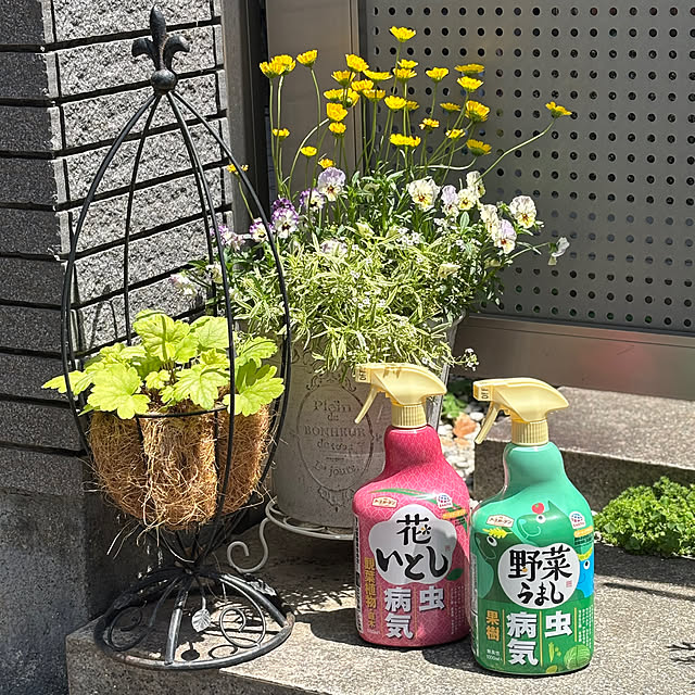 maayaさんの部屋