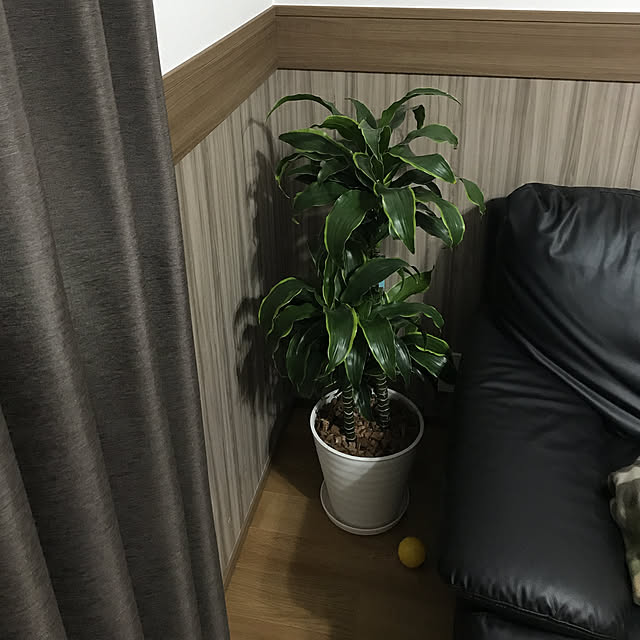 y.nさんの実例写真