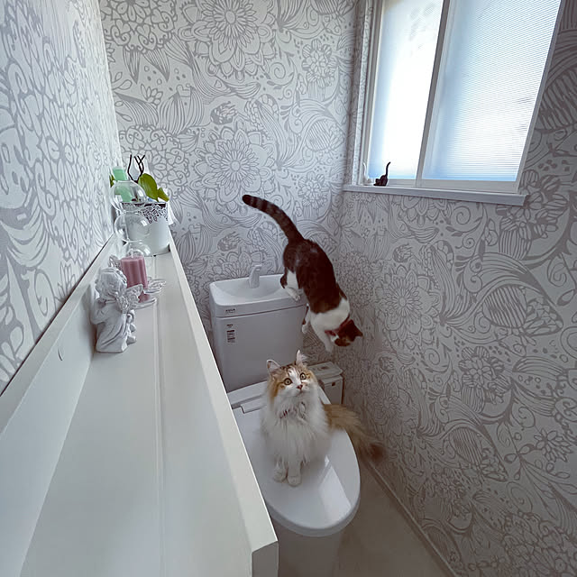 mya___kさんの実例写真