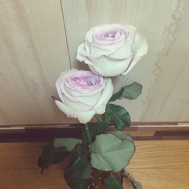 kojiro120513さんの実例写真
