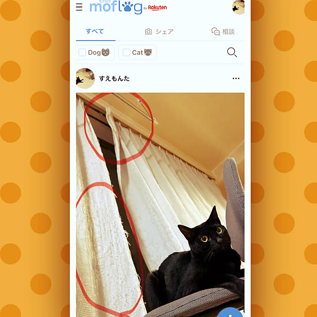 suemonta14さんの実例写真