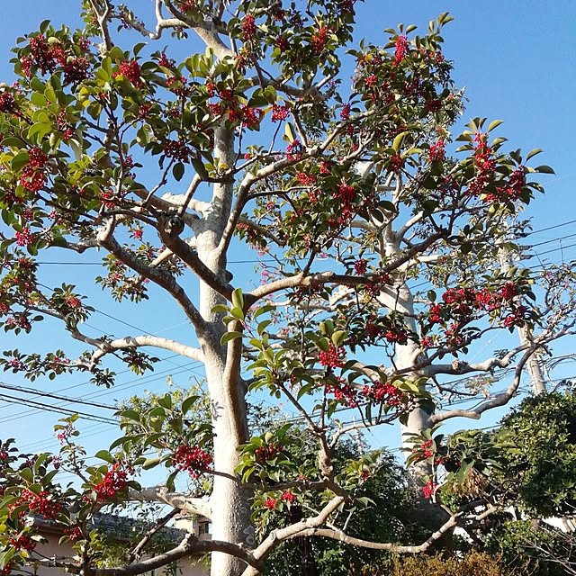 haruiroさんの部屋