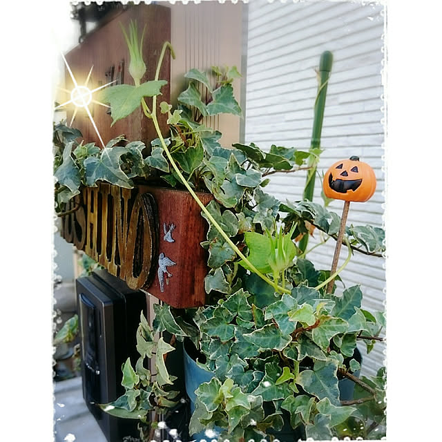mofukoさんの実例写真