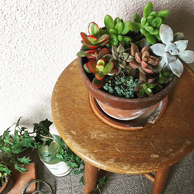 古道具のある暮らし/緑葉植物/ナチュラル/雑貨/レトロ...などのインテリア実例 - 2020-04-07 21:08:59