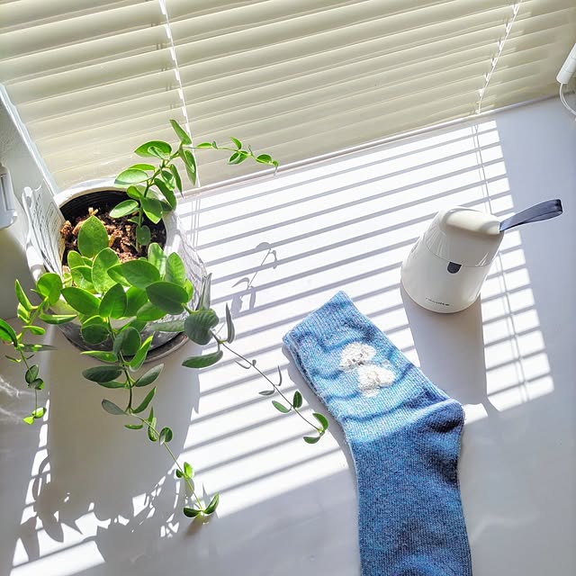 Haさんの部屋