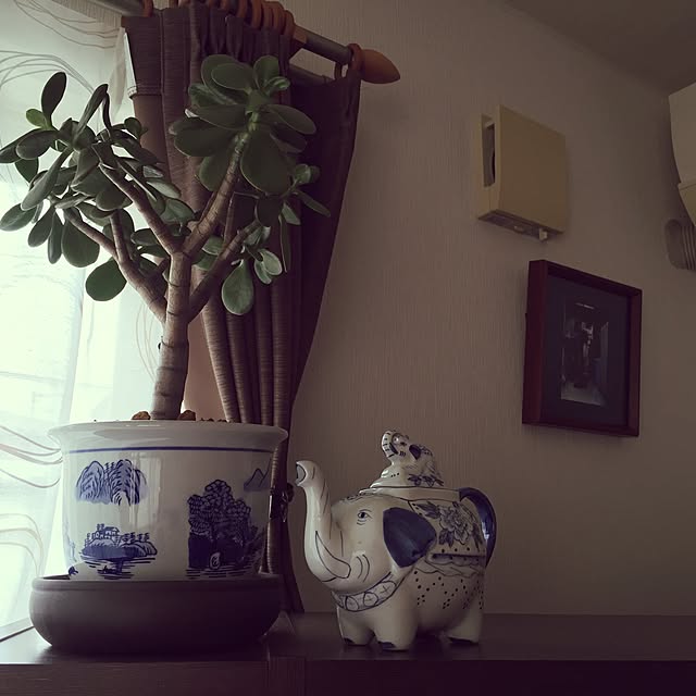 afroさんの実例写真