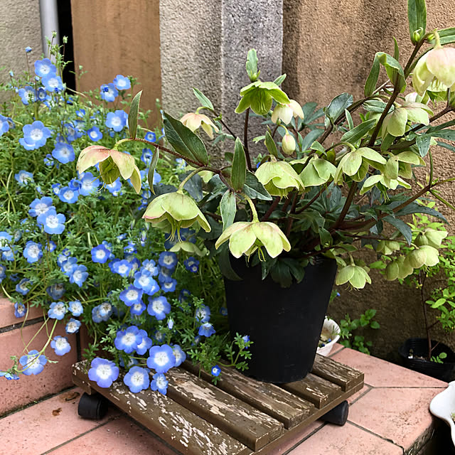 fumikoiさんの部屋