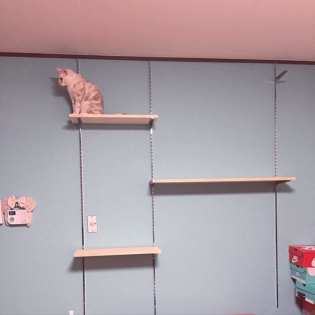 sirasu.nさんの実例写真