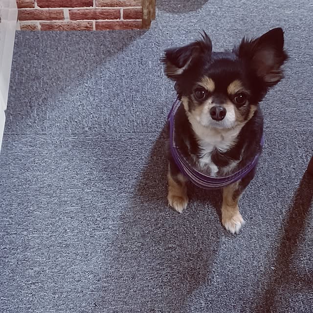 hiro.904さんの部屋