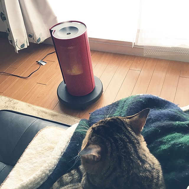 yumione555さんの実例写真
