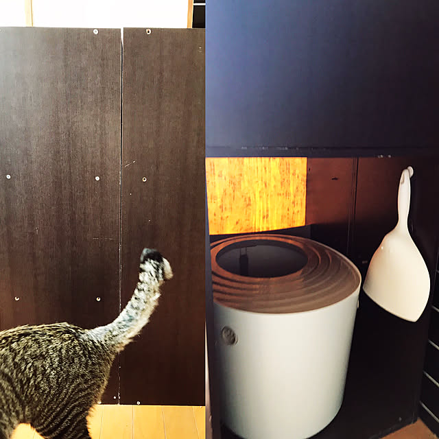 mikan161さんの実例写真