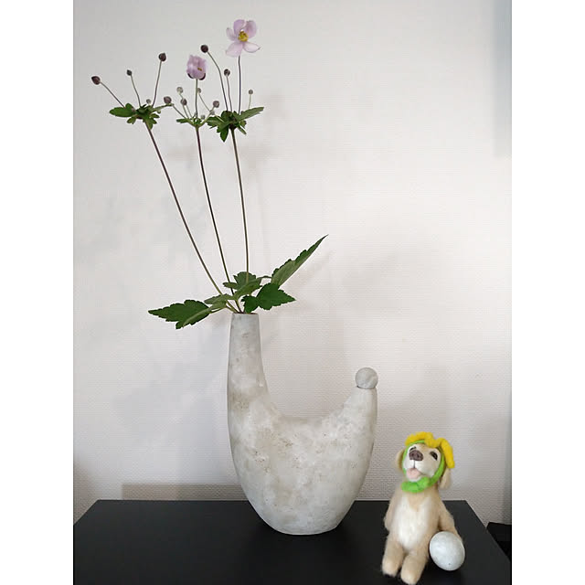 Tomokoさんの実例写真