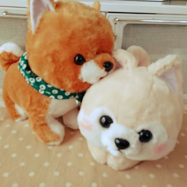 yuyuさんの実例写真