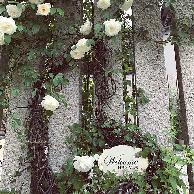 kiyokiyoさんの実例写真