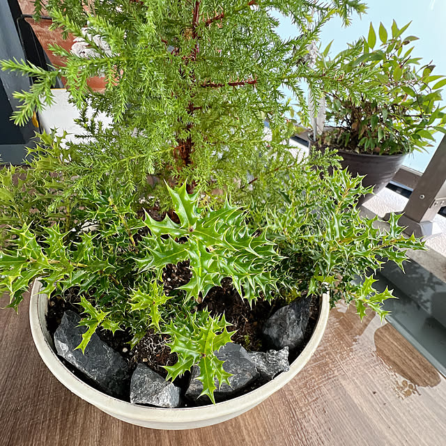 ponme33さんの部屋