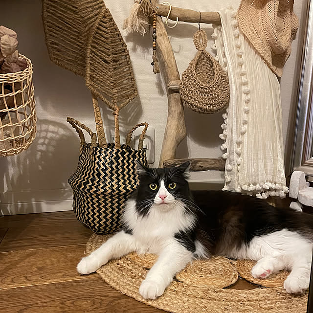 実例写真