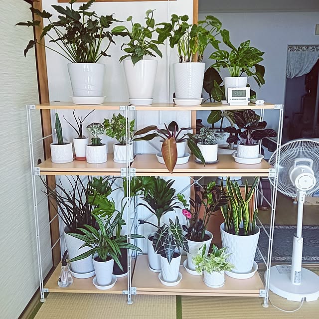 hanachanさんの部屋
