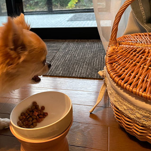 natsumiさんの部屋