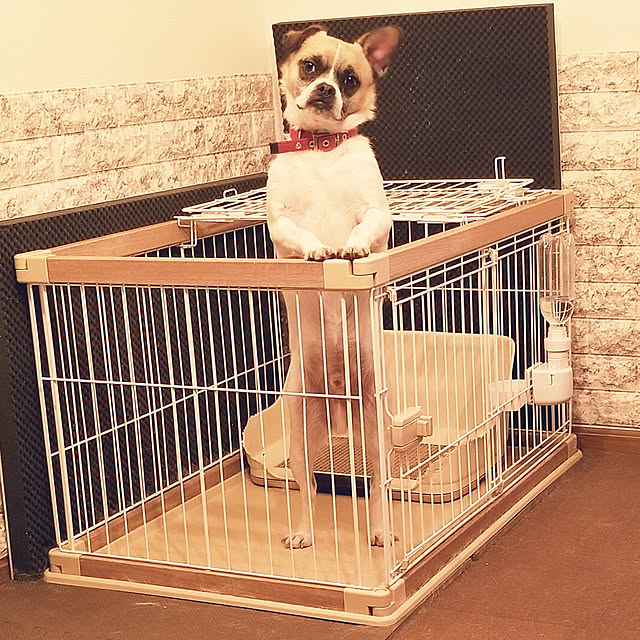 MINIさんの実例写真