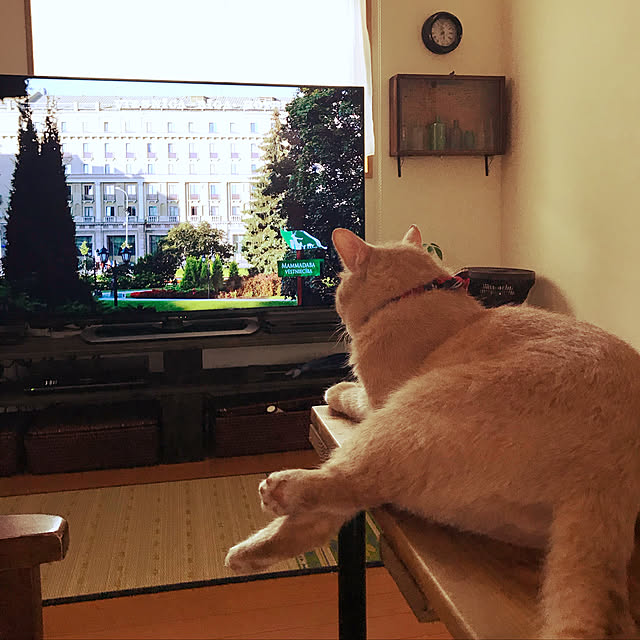 mikan161さんの実例写真