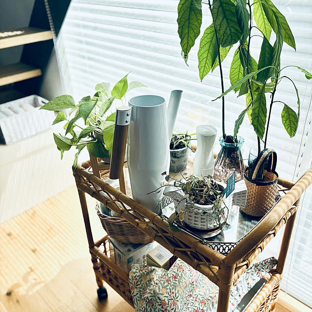 Minteaさんの実例写真