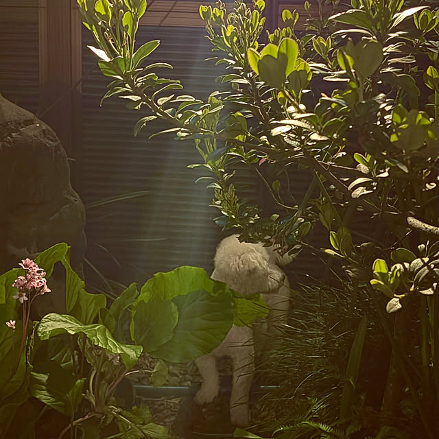 chacoさんの部屋