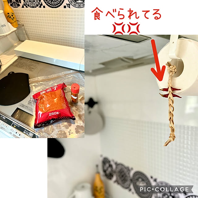 kittyさんの部屋