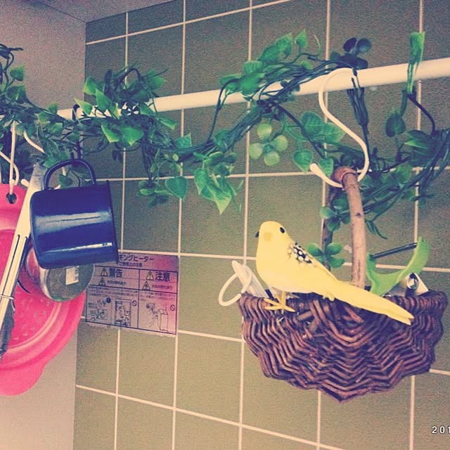 ayakaさんの実例写真