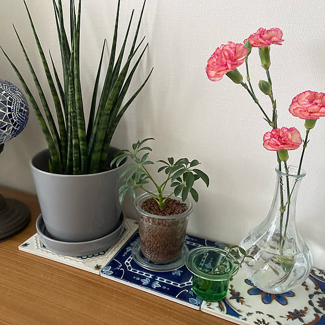 Emilyさんの実例写真