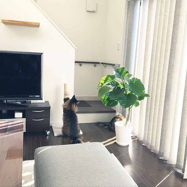 takiさんの実例写真