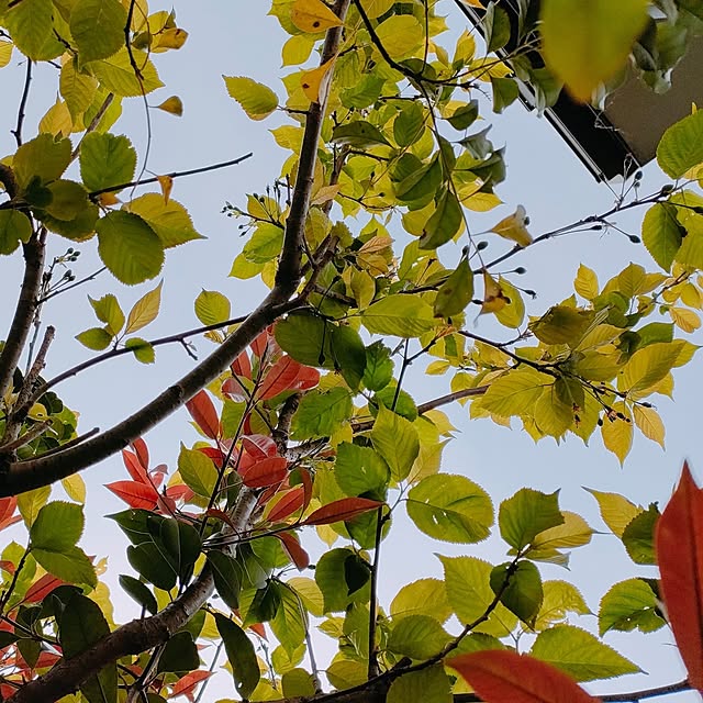 mori_6_12さんの実例写真